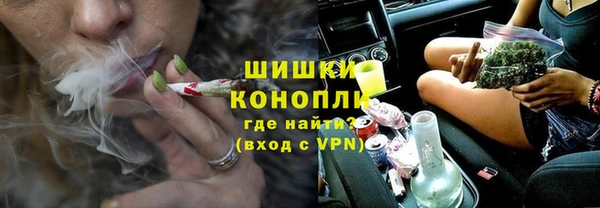 индика Сосновоборск