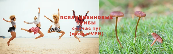 гидропоника Аркадак