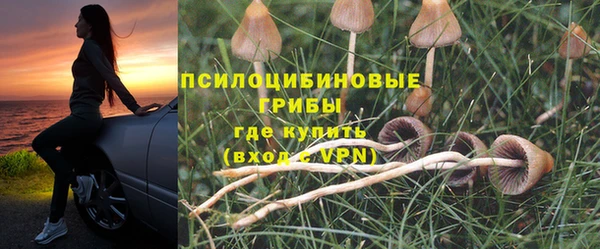 гидропоника Аркадак